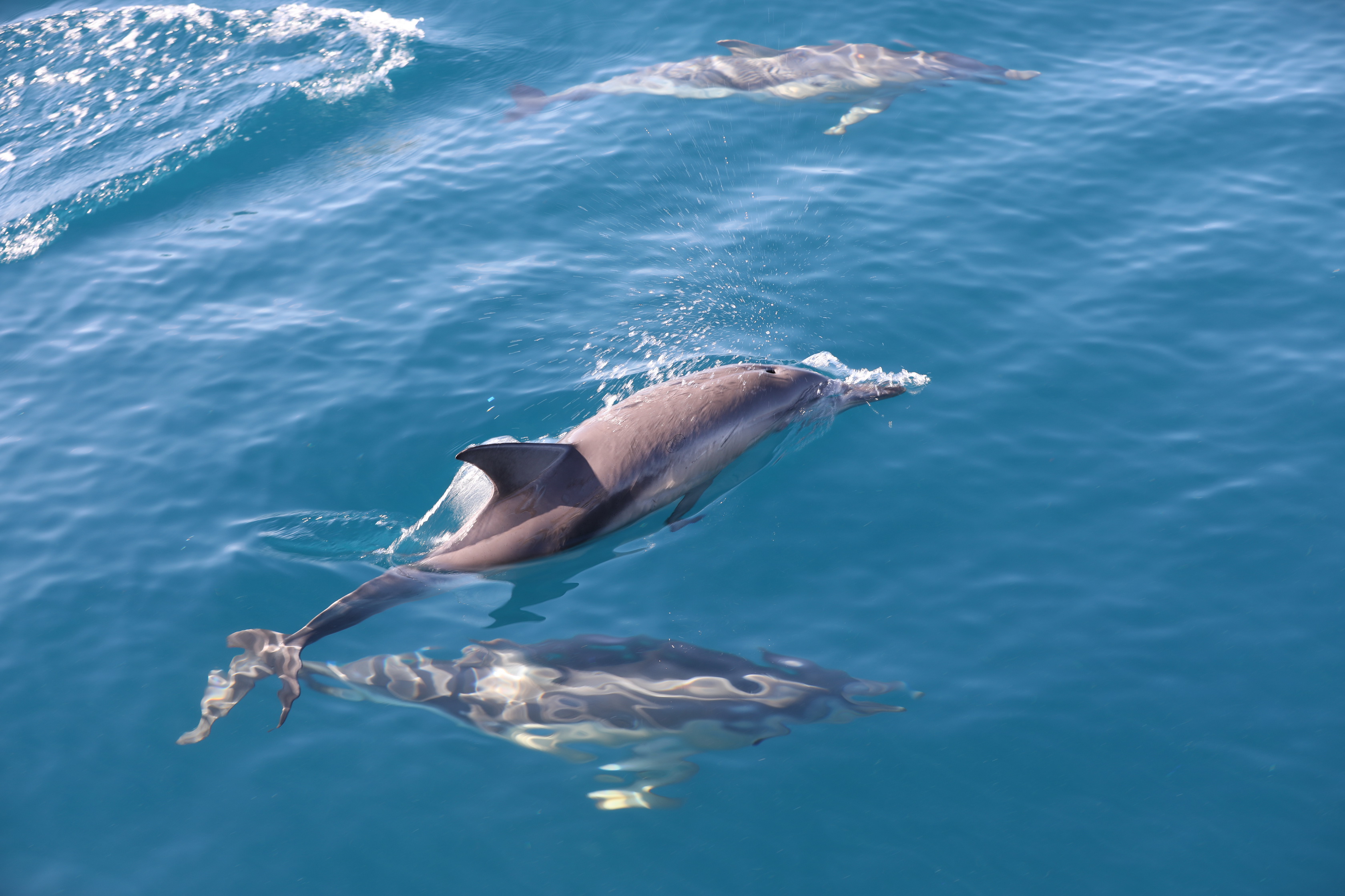 2019 12 07 08 46 38 Canon EOS 5D Mark IV 0012